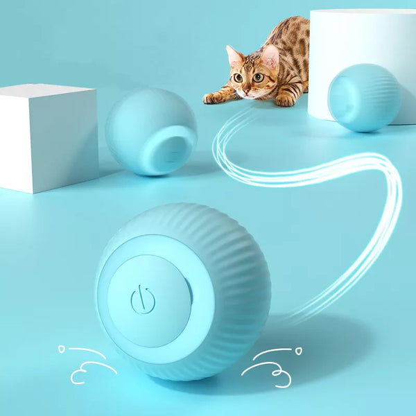 Electric Cat Ball: Interactive Self-Moving Toy for Indoor Cats