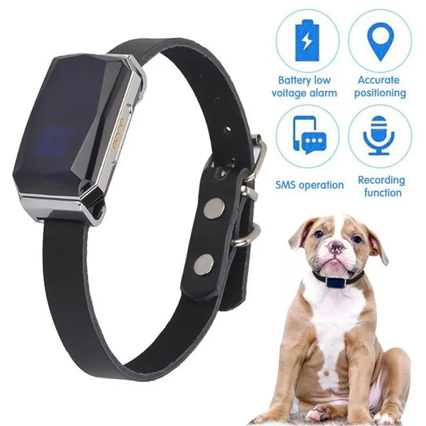 GPS Dog Collar: Smart Multifunctional Dog Locator