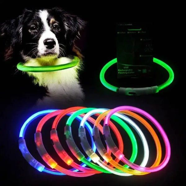 LED USB Dog Collar - Night Luminous Safety Collar